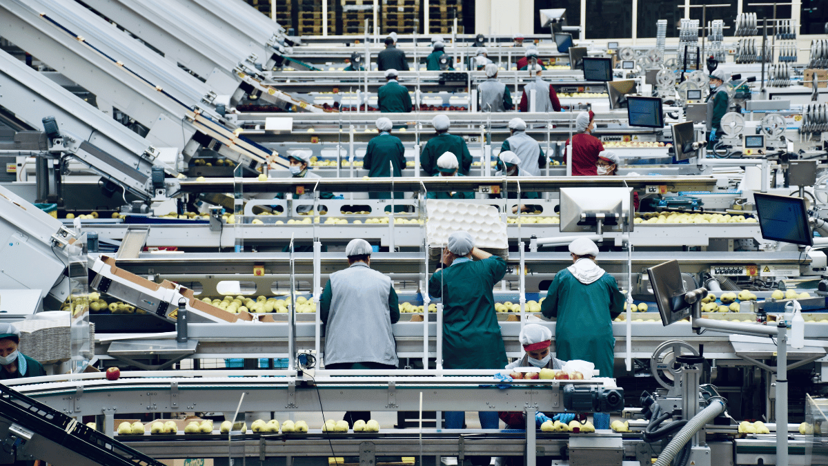 Employees in a factory sorting produce