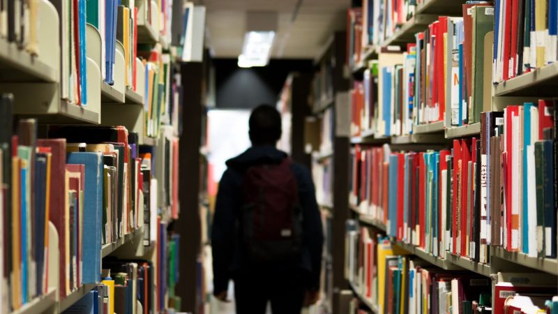 Silhouette of a person in between library shelves